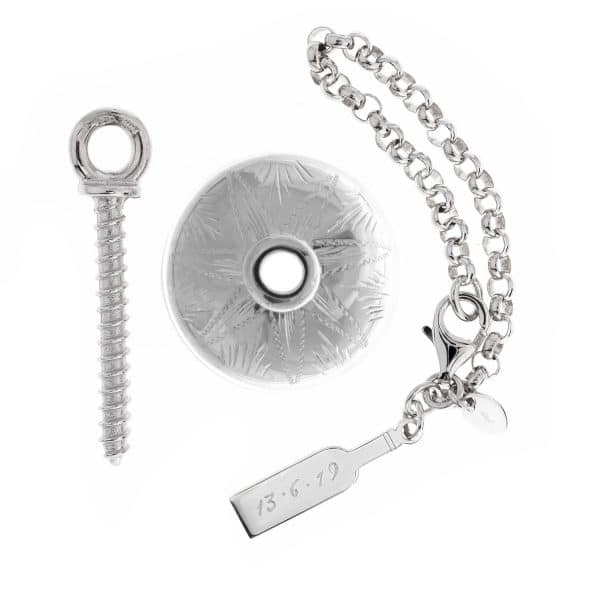 Fantasy Silver - immagine 2